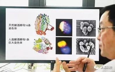 三叶草私人研究所的研究成果引发热议，网友纷纷表示期待其对未来科技发展的影响与应用前景