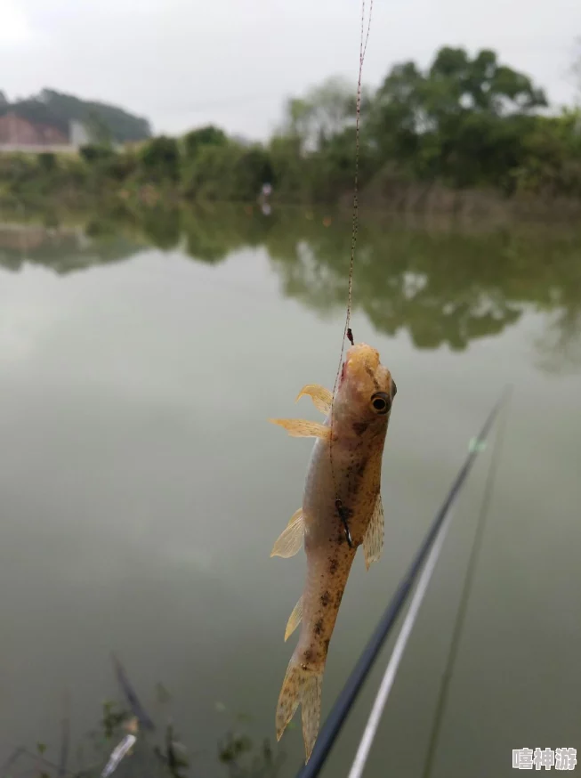 女人鲤鱼喝水图解大全：详尽解析女性健康与饮水的重要性及其科学依据