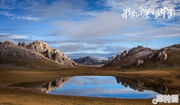 我看一级片学习如何拍摄高质量的自然风景纪录片