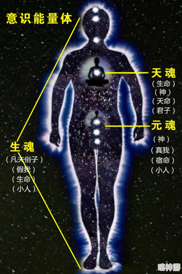 gogo最专业大尺度高清人体传播健康美丽生活理念让每个人都能自信展现自我