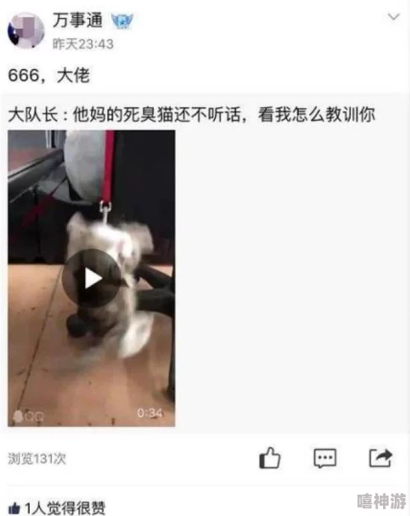 狗操女逼视频这样的内容为何能引发争议,会对社会产生怎样的影响？