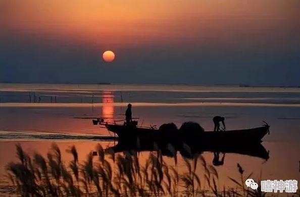 “夕阳红旅行社：畅游人生风景，感受岁月温馨”