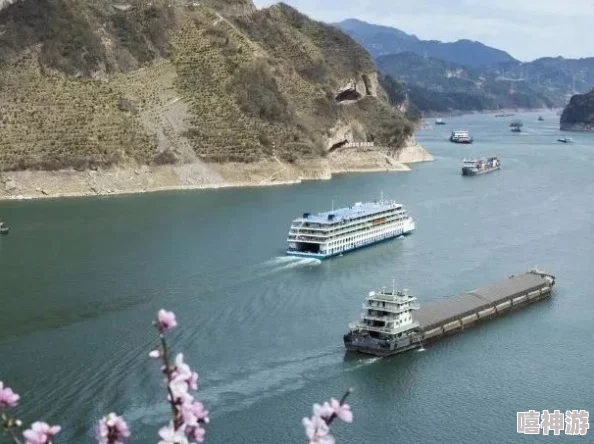 悠闲畅游三峡美景，体验游轮一日赏心之旅