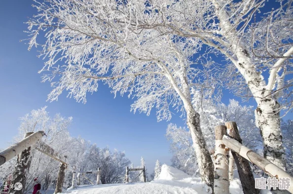 探秘雪乡三日游，究竟花费多少钱？